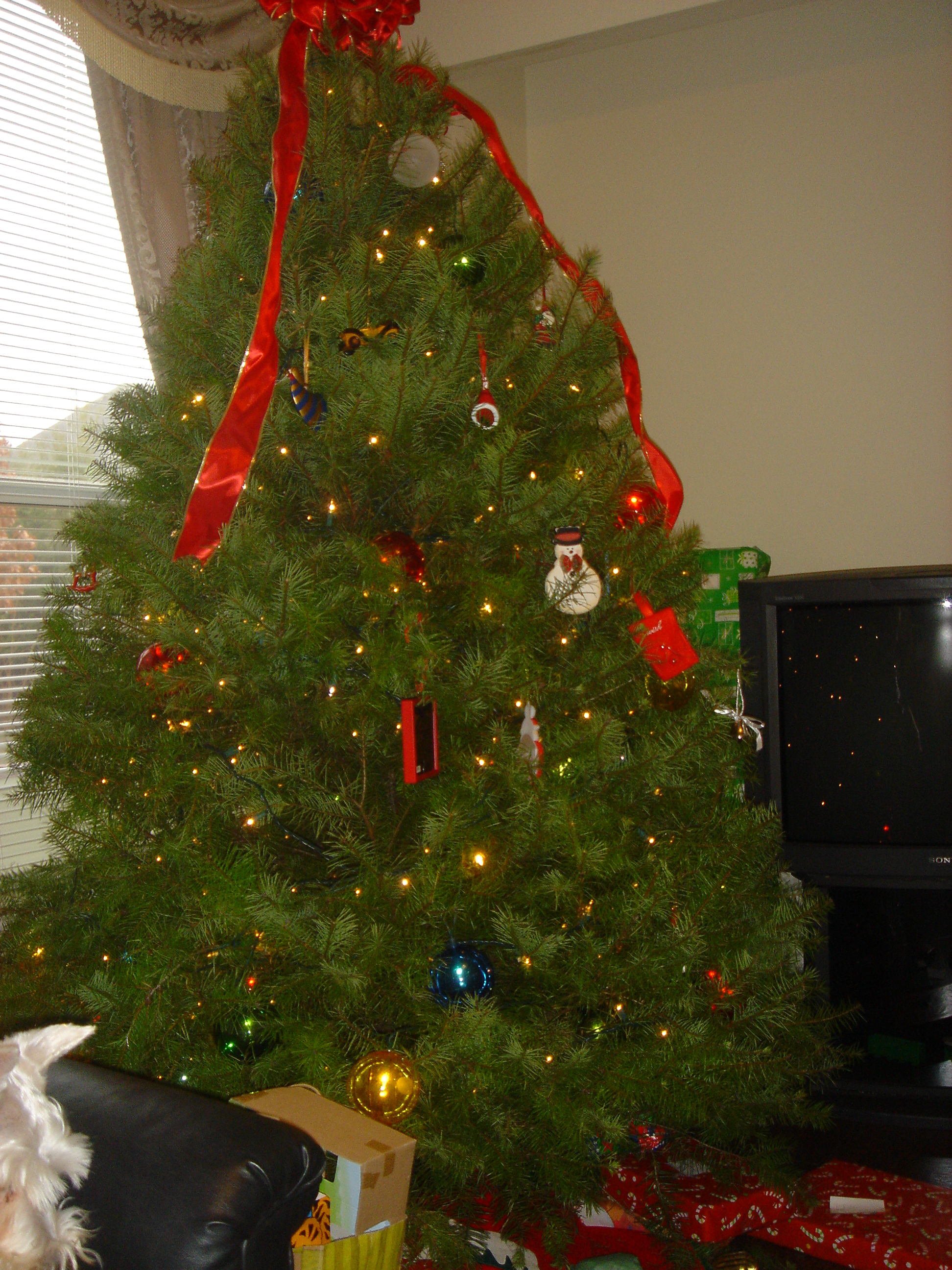 2006-12-25-11-ChristmasMorning.JPG